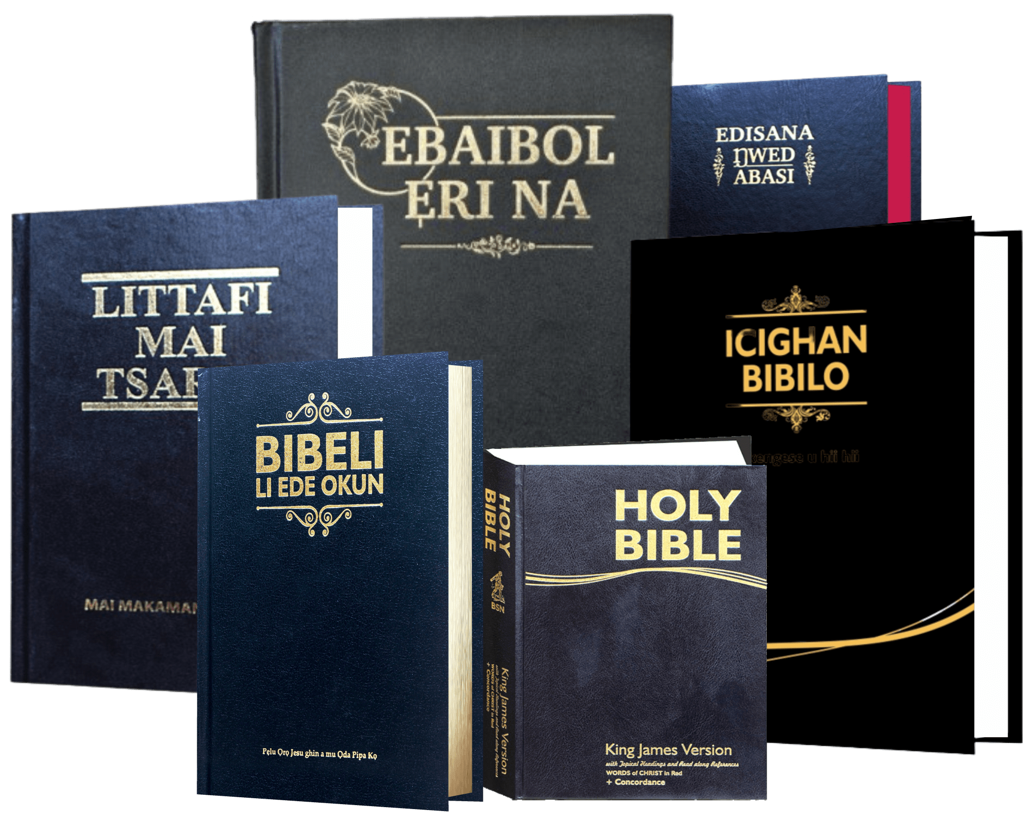 BSN Bible Translation Project