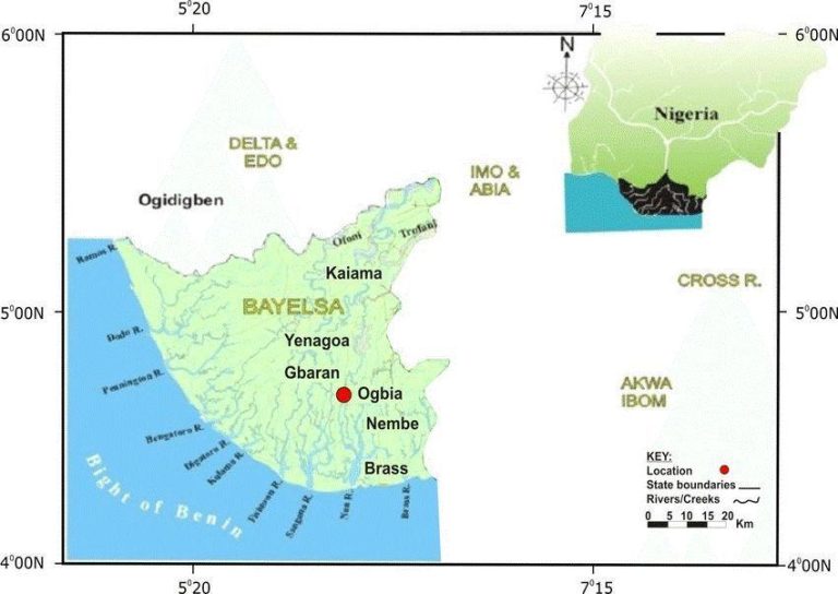 A Triumph of Faith and Perseverance: The Completion of the Ogbia Bible Translation TC Checking